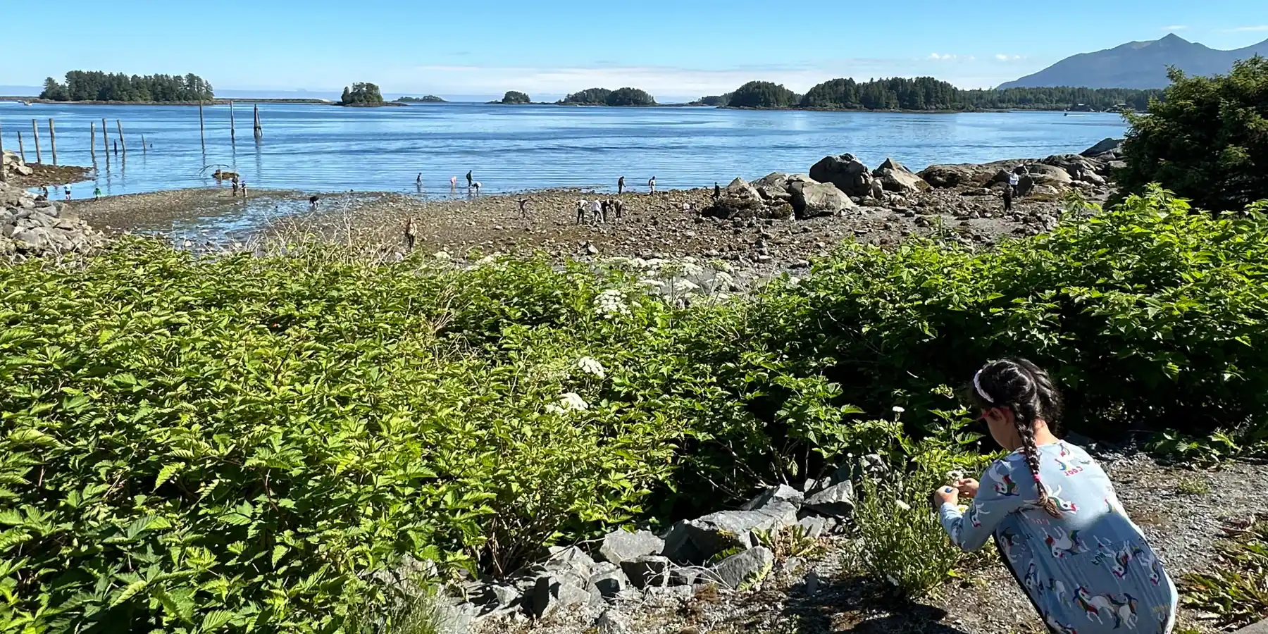 A girl crouching to explore plants by a tide pool beach in Sitka, Alaska, with small islands across the water